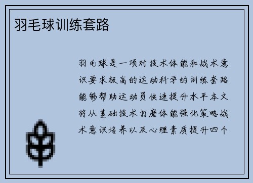 羽毛球训练套路